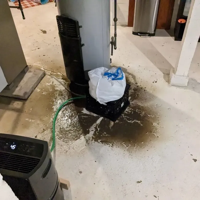 Sewage Backup Cleanup Service in Bruceton, TN